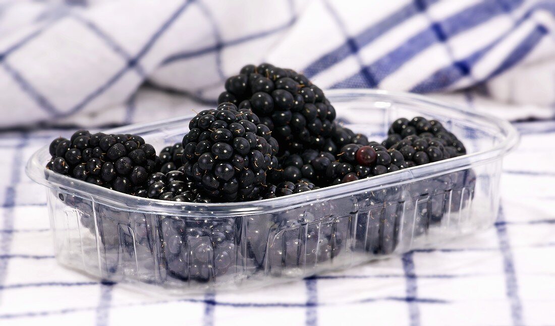Blackberries in plastic container on tea towels