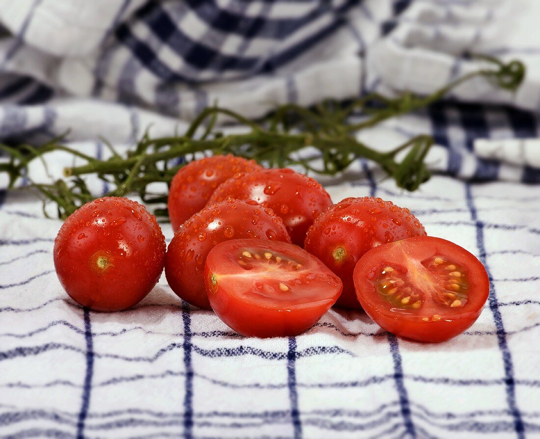 Gewaschene Tomaten auf Geschirrtüchern
