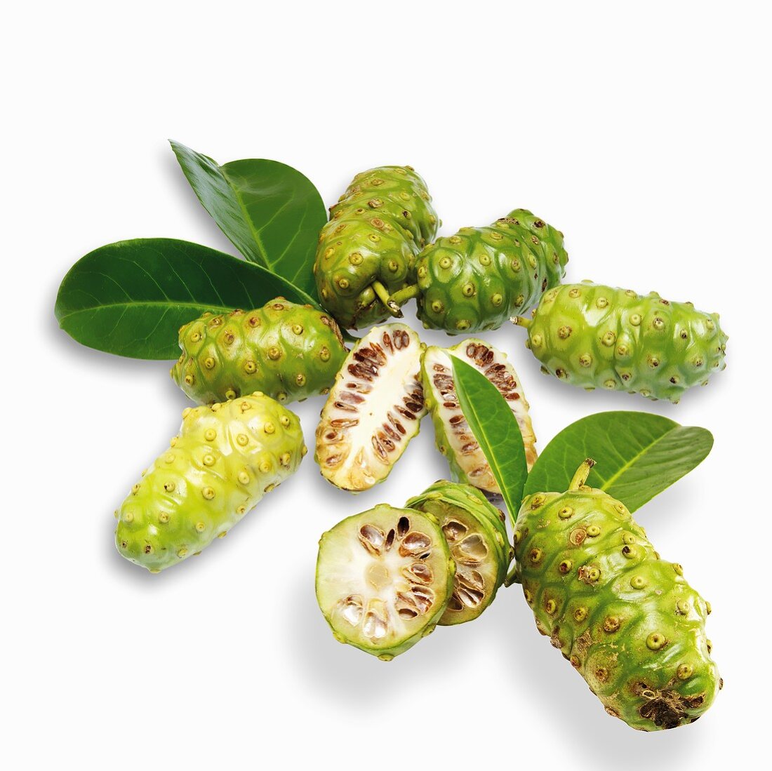 Noni-Früchte mit Blättern