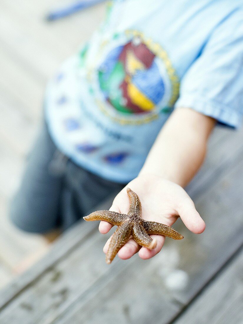 Child holding a starfish