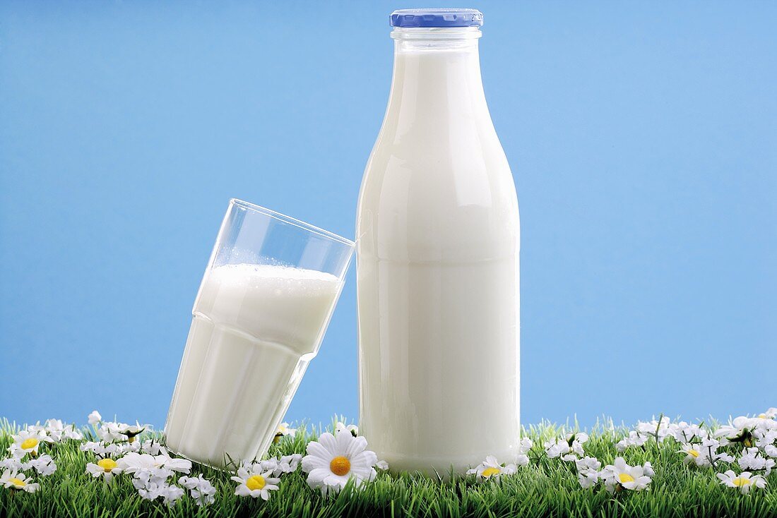 Milchglas und Milchflasche auf Margeritenwiese