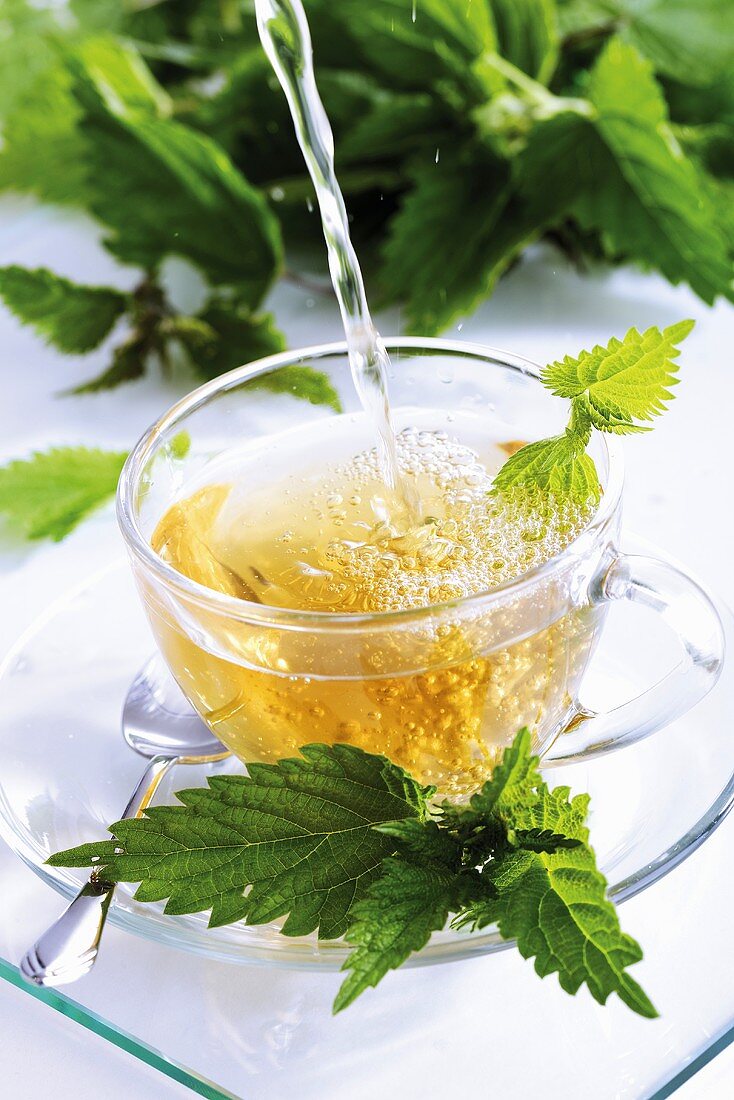 Stinging nettle tea