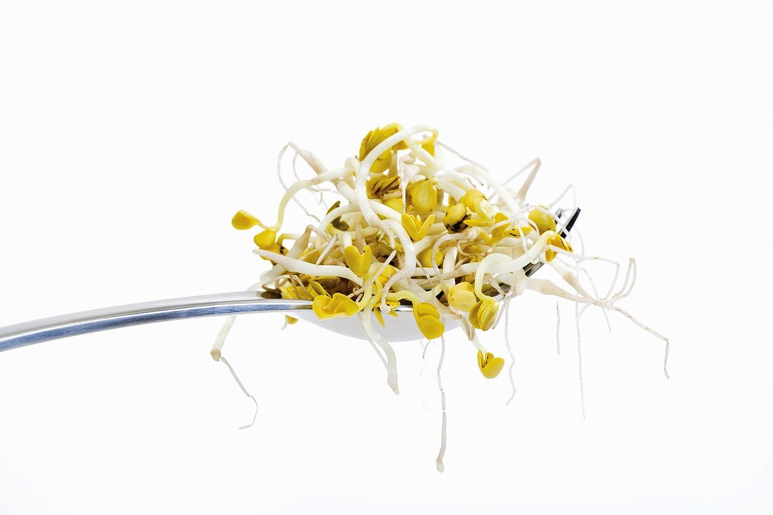 Radish sprouts on fork