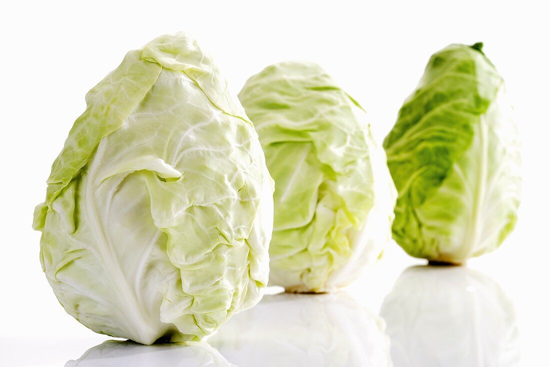 Three pointed cabbages