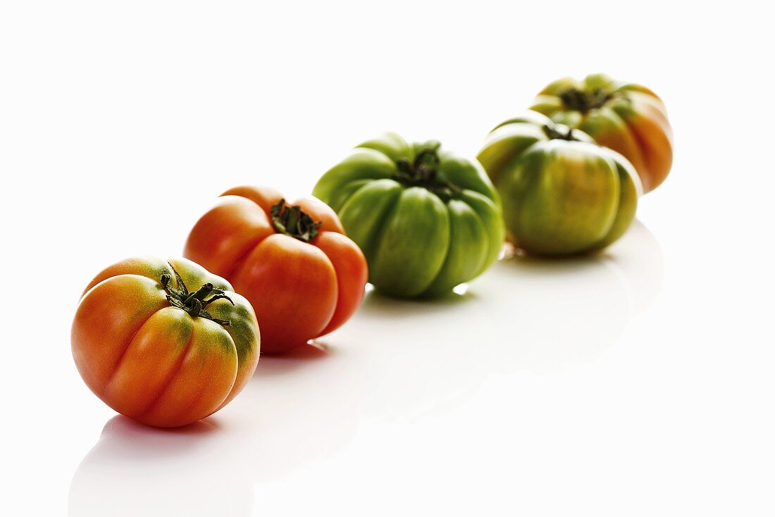 Tomaten (Sorte Ochsenherz) in einer Reihe