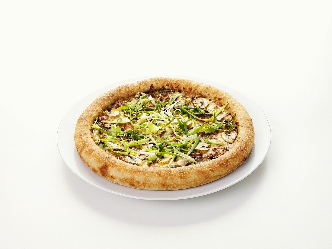 Duck, mushroom and spring onion pizza
