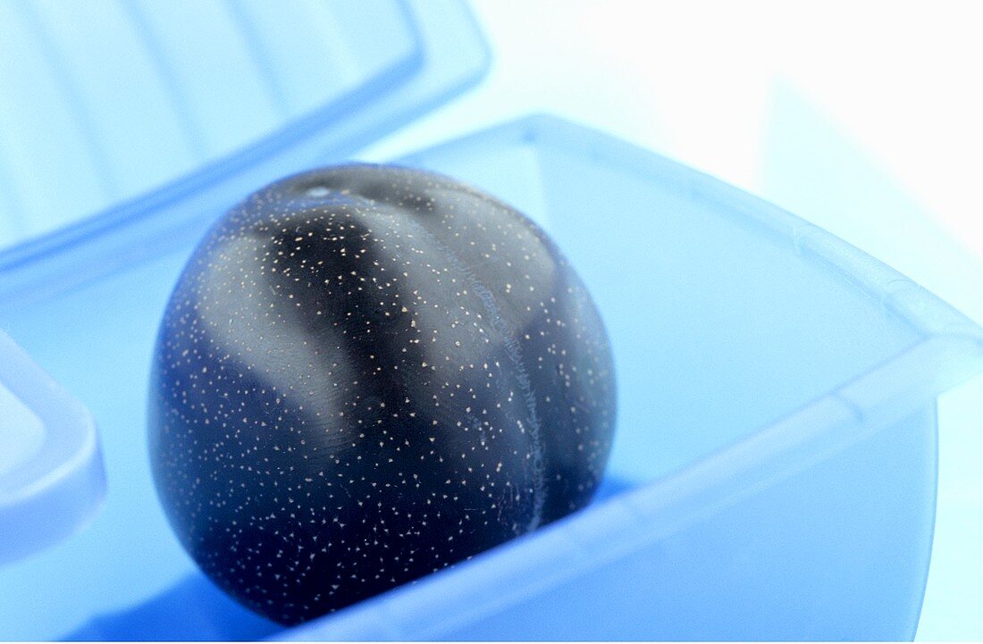 One plum lying in a plastic box