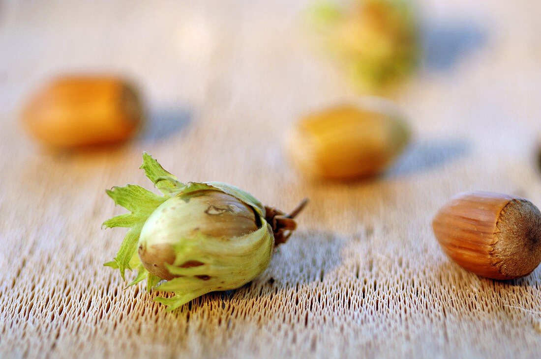 Hazelnuts