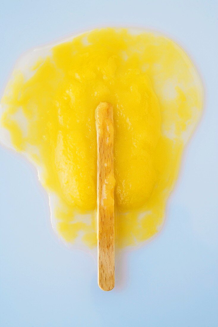 Melted ice lolly stick, overhead view