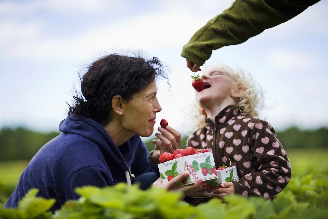 Mutter und Tochter essen Erdbeeren auf dem Feld