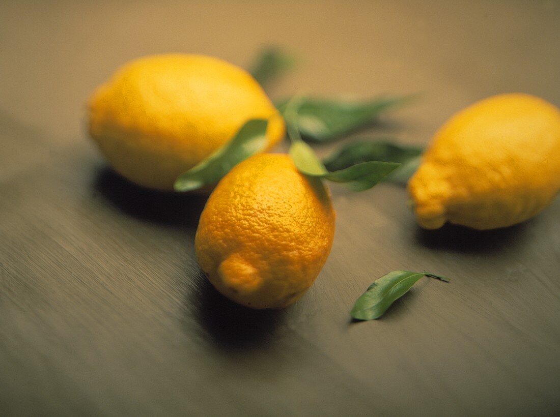 Fresh Lemons with Leaves