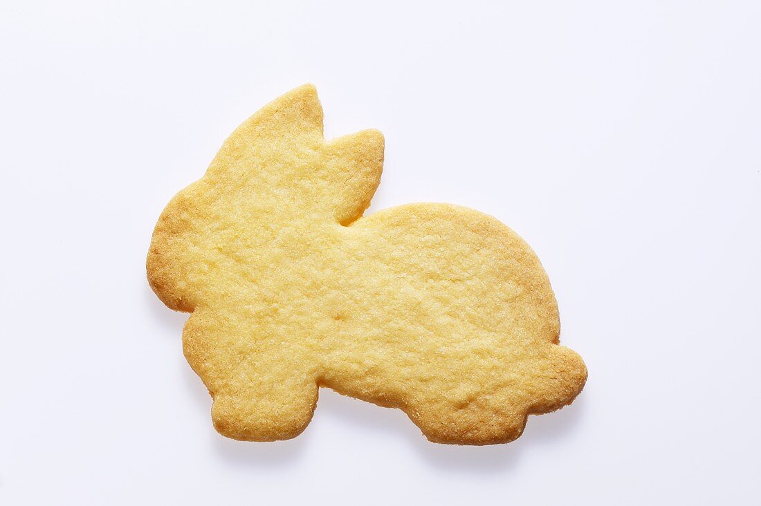 Rabbit biscuit