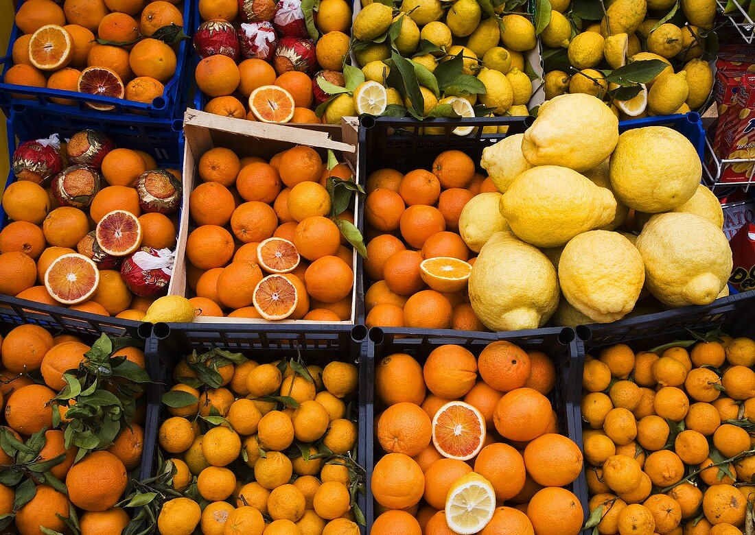 Verschiedene Zitrusfrüchte in Steigen auf dem Markt