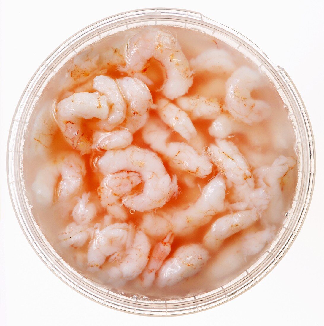 Shrimps in plastic box, close-up