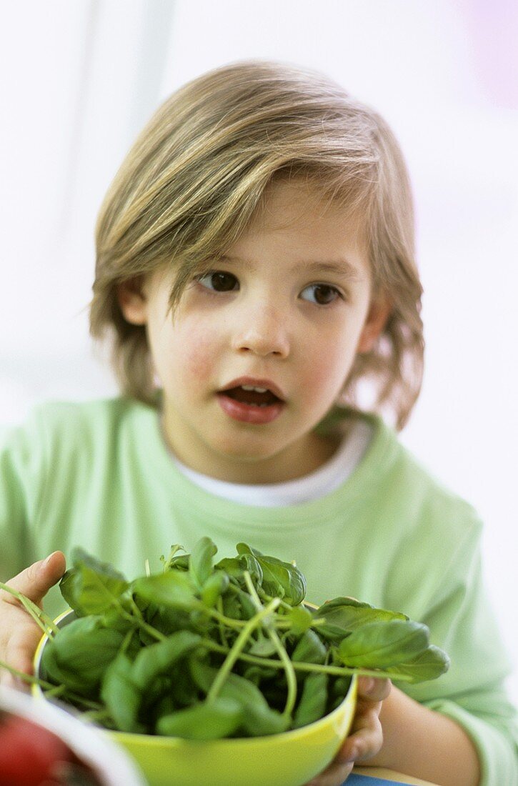 Boy (3-4) holding bowl of fresh basil, close-up