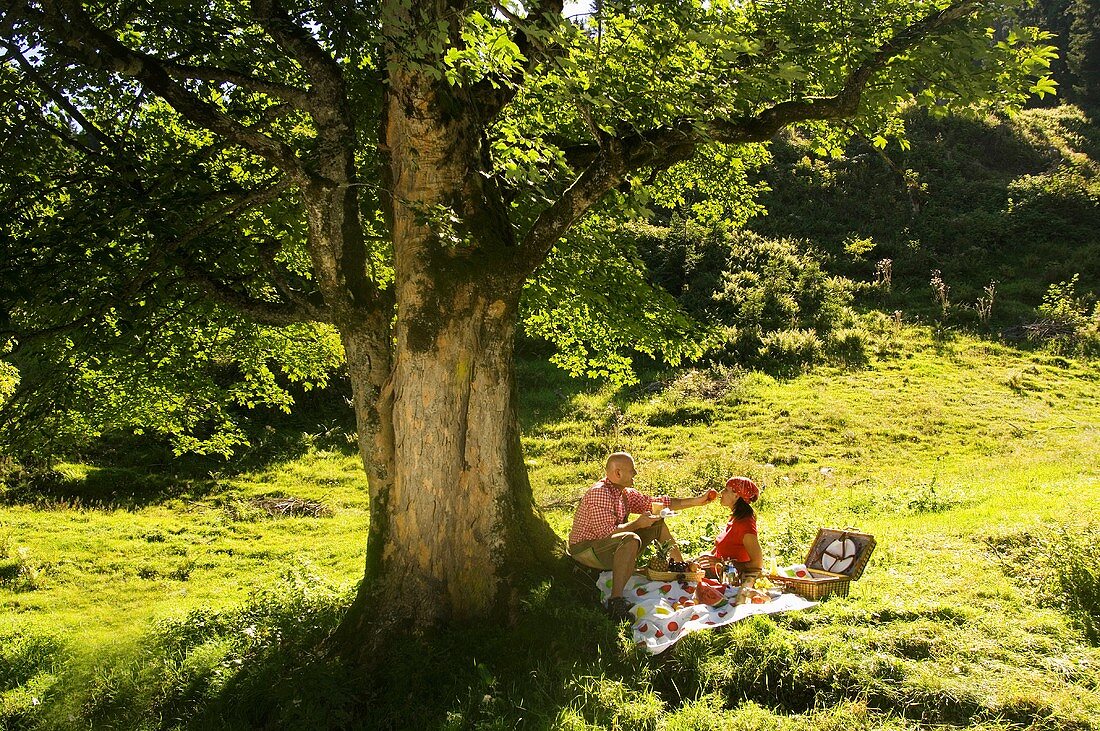 Couple having picnic in meadow, man feeding woman