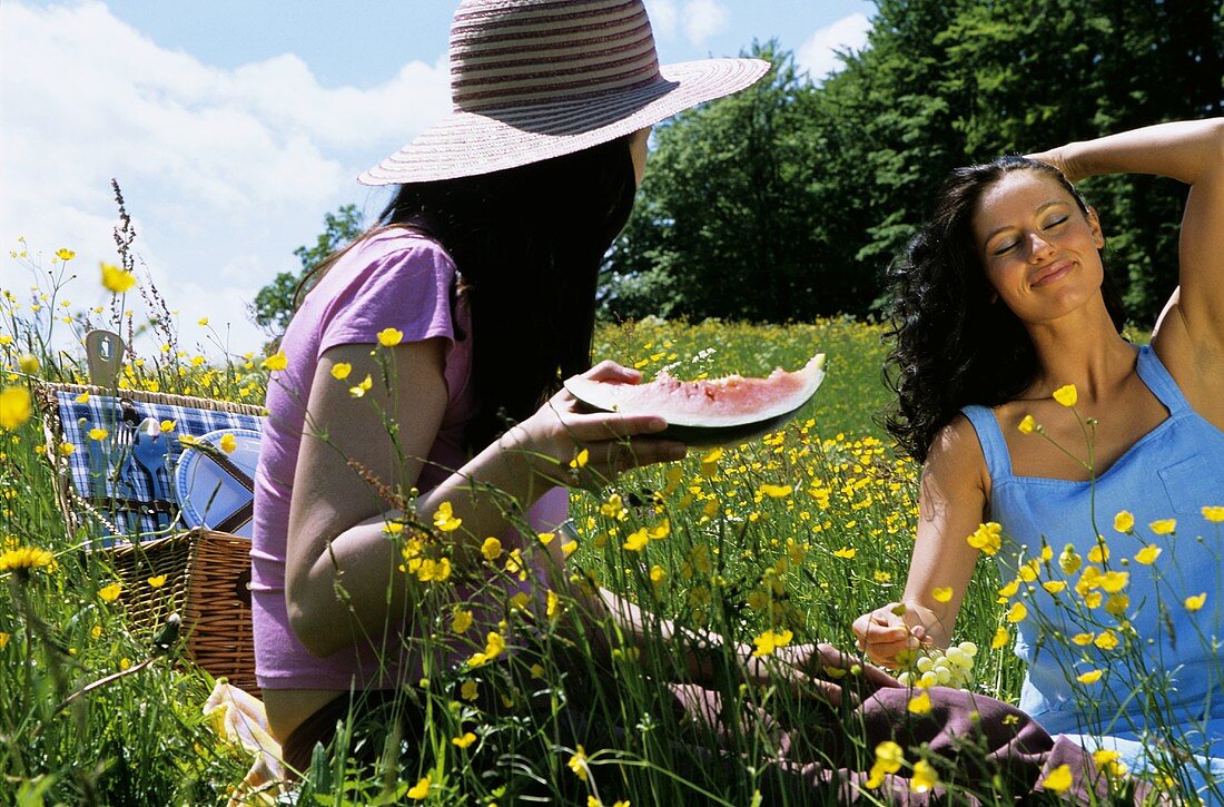 Zwei Frauen beim Picknick auf Sommerwiese