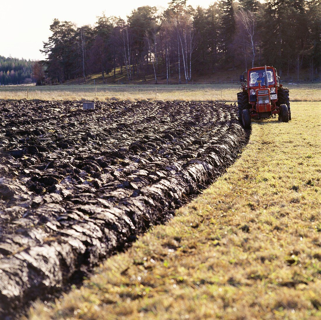 Tractor ploughing a field