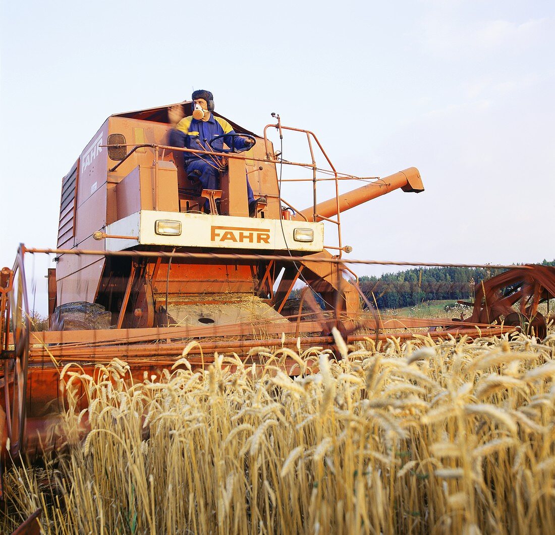 Combine harvester at work