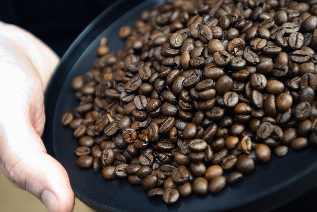 Roasted coffee beans