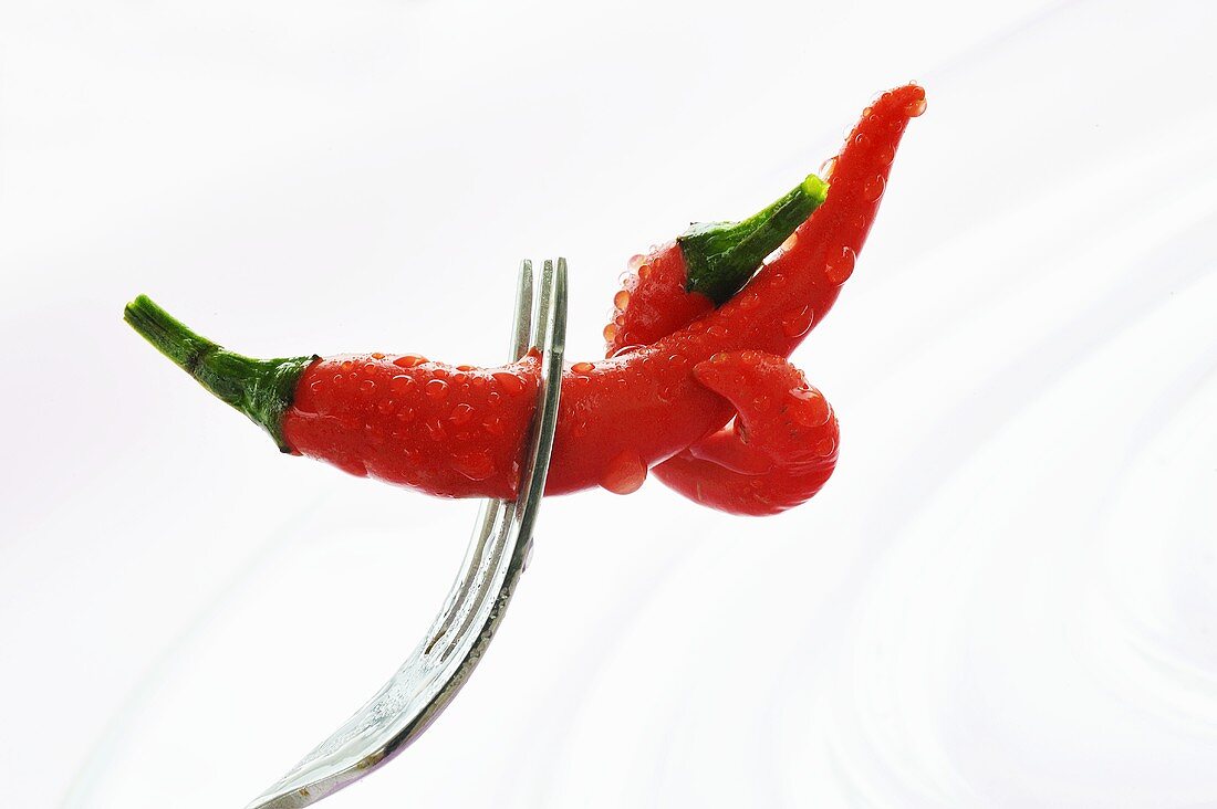 Two red chillies with drops of water on fork