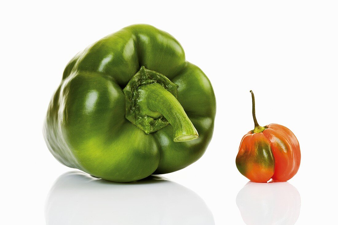 Green pepper and habanero chilli
