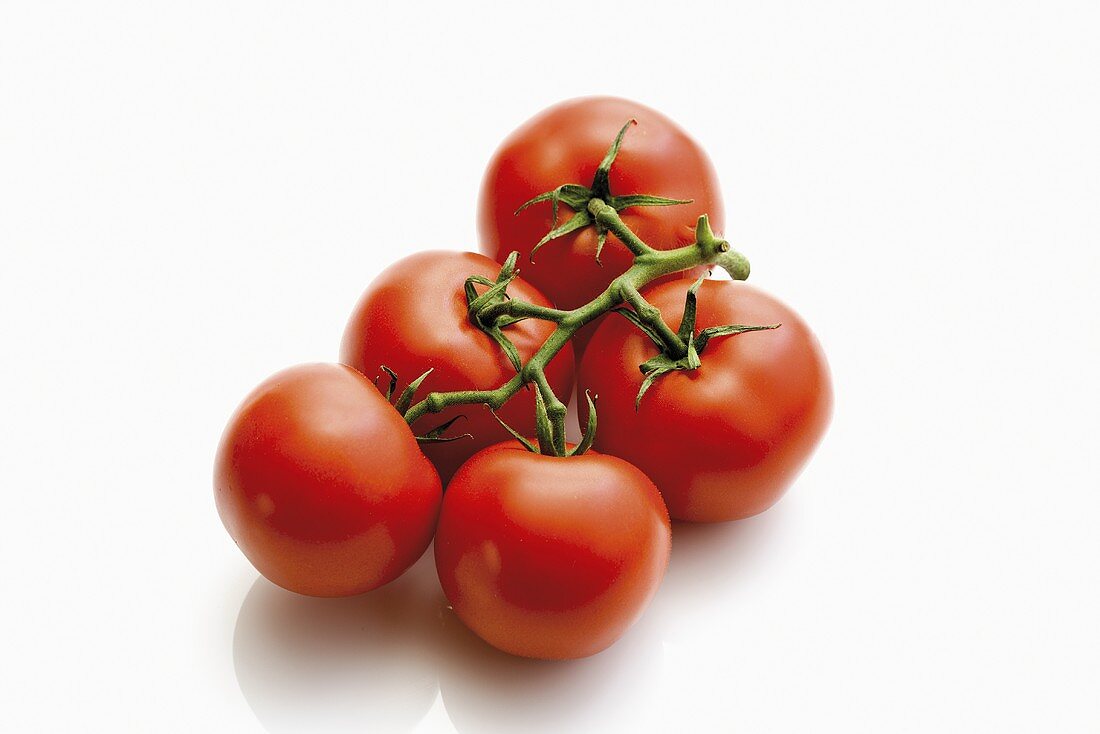 Tomatoes on the vine