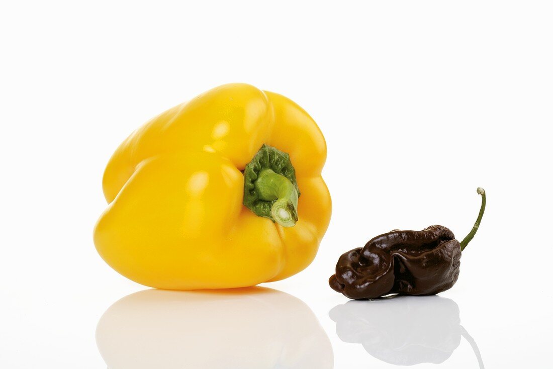 Gelbe Paprikaschote und Scotch Bonnet