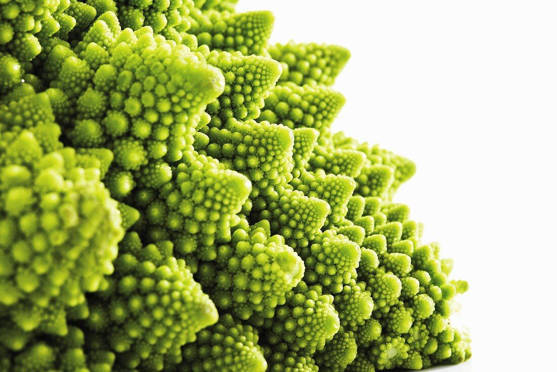 Romanesco (Close up)