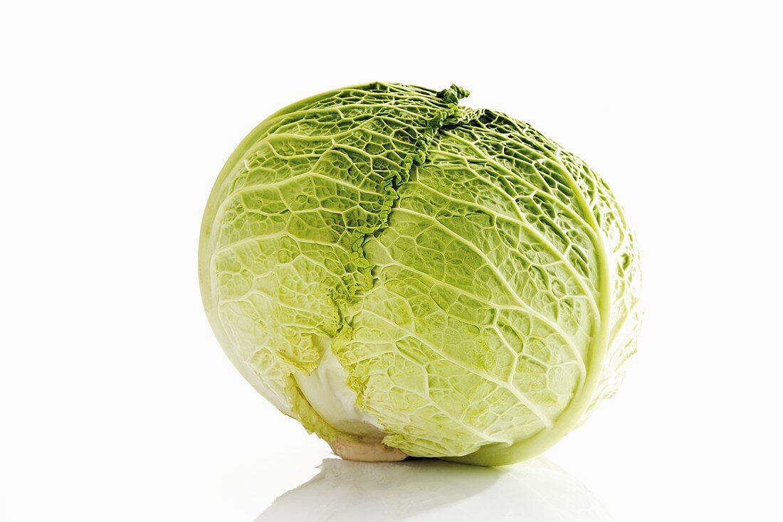 A savoy cabbage