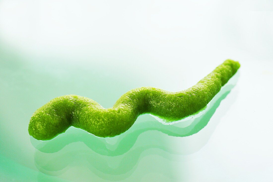 Squiggle of wasabi on glass