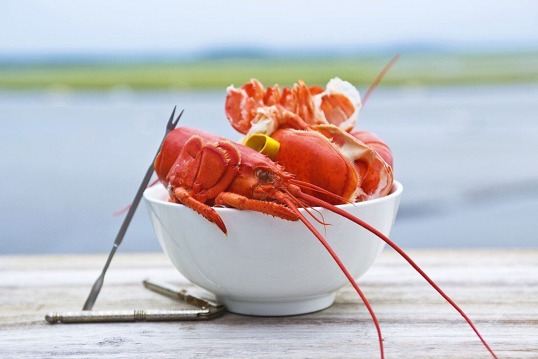 Bowl of Lobster Shells; Seaside