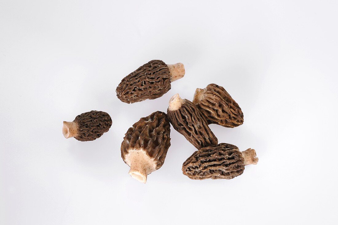 Several morels