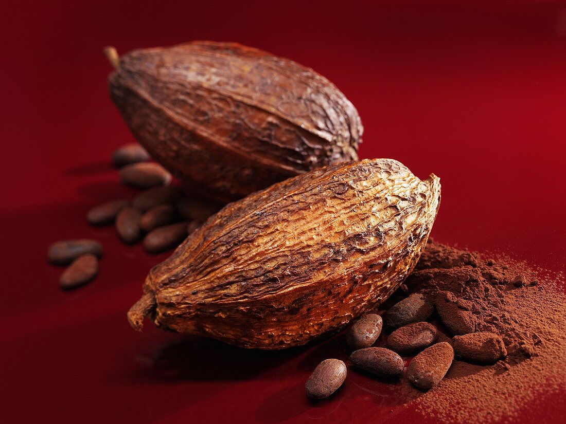 Cacao fruits, cocoa beans and cocoa powder