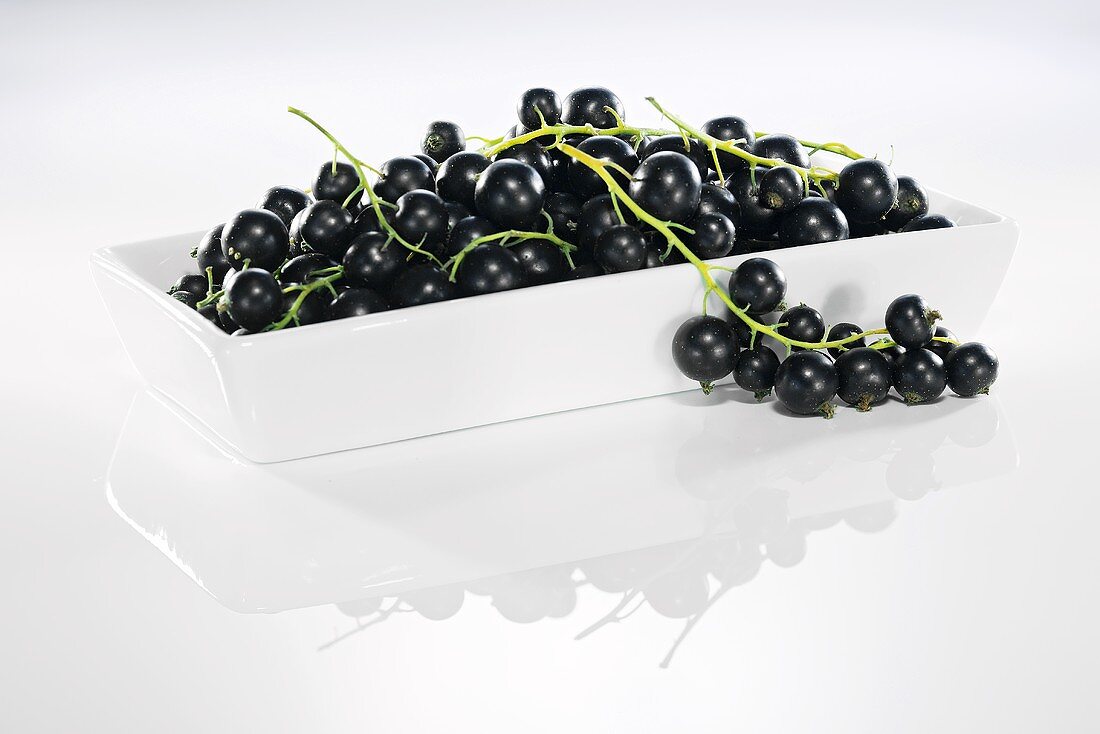 Blackcurrants in dish with reflection