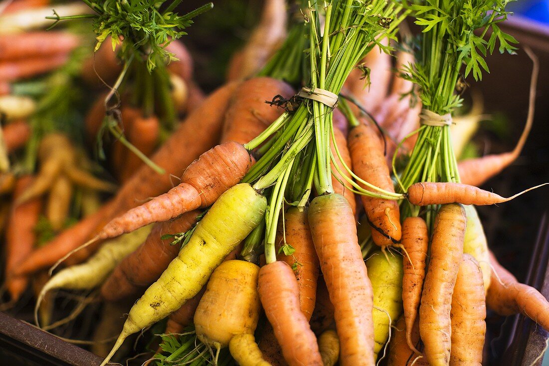 Bunches of fresh carrots in crate