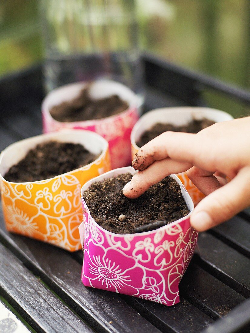 Child's hand sowing seeds