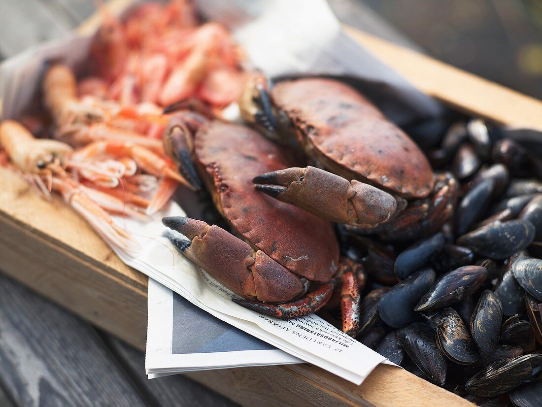 Miesmuscheln, Taschenkrebse und Shrimps in Steige