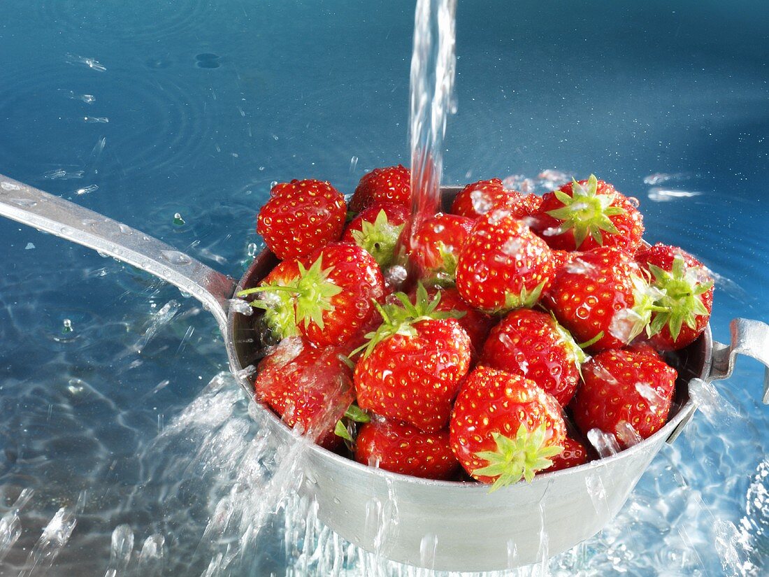 Washing strawberries in sieve