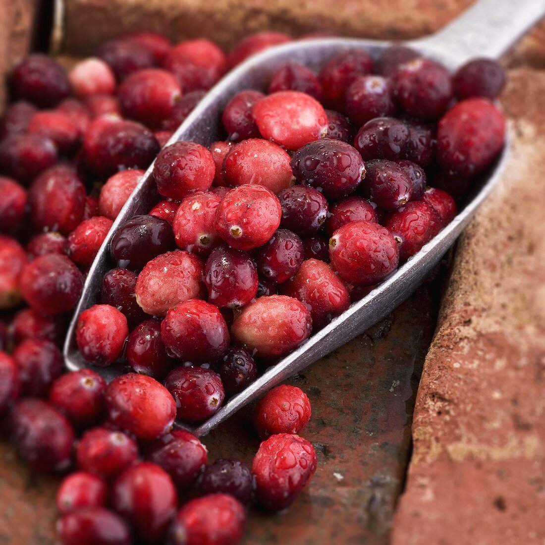 Cranberries mit Wassertropfen auf Schaufel