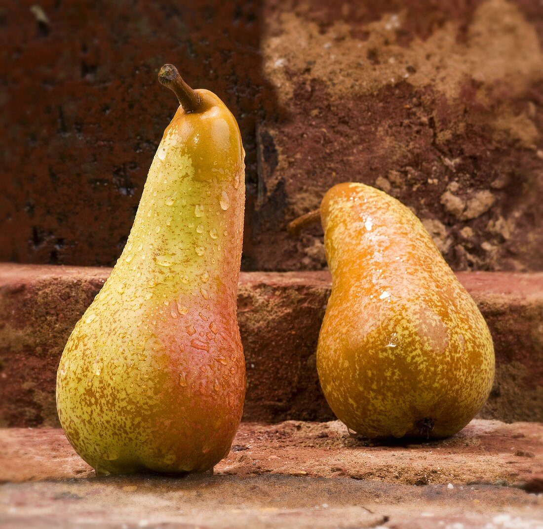 Pears with drops of water in front of brick wall