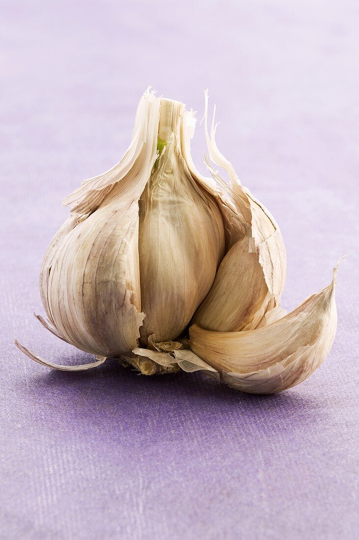 Garlic bulb