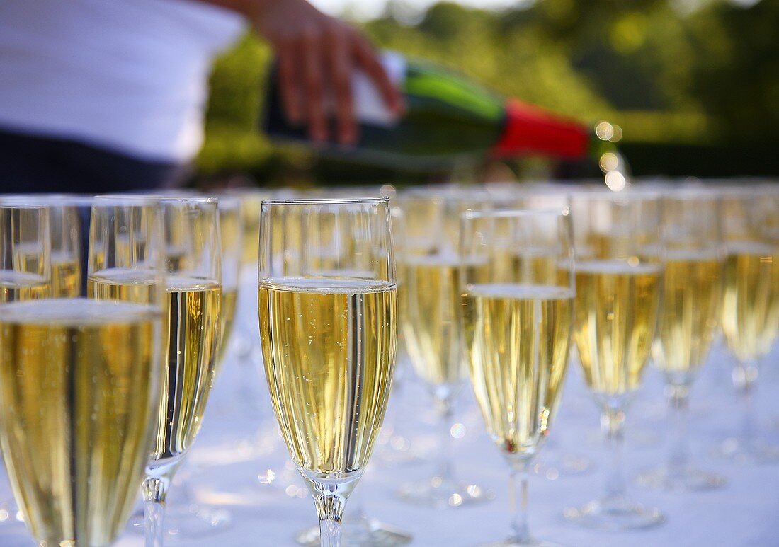 Viele Champagnergläser auf einem Tisch bei Gartenparty