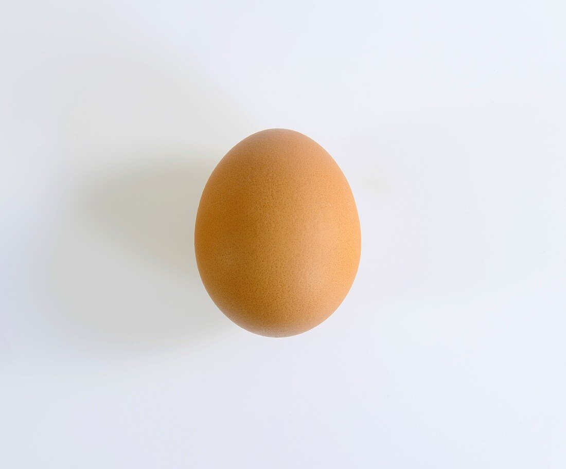 A brown egg