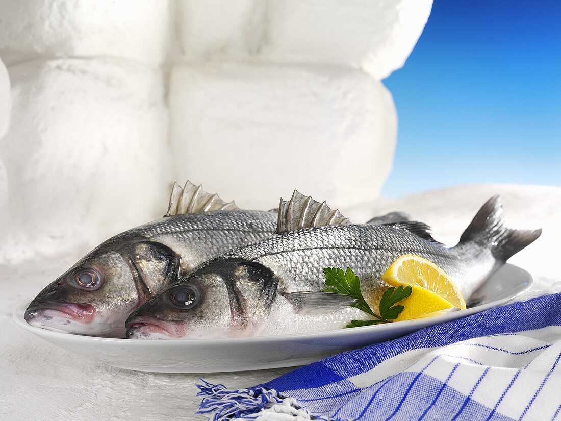 Two sea bass on a platter