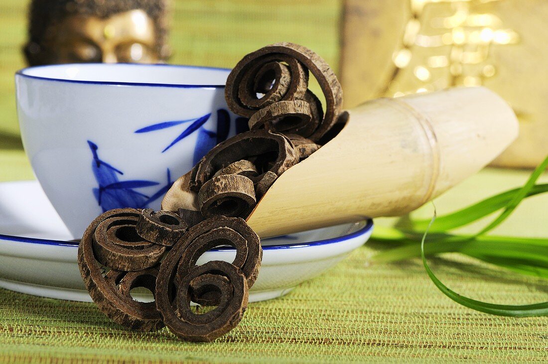 Magnolia bark with cup of tea