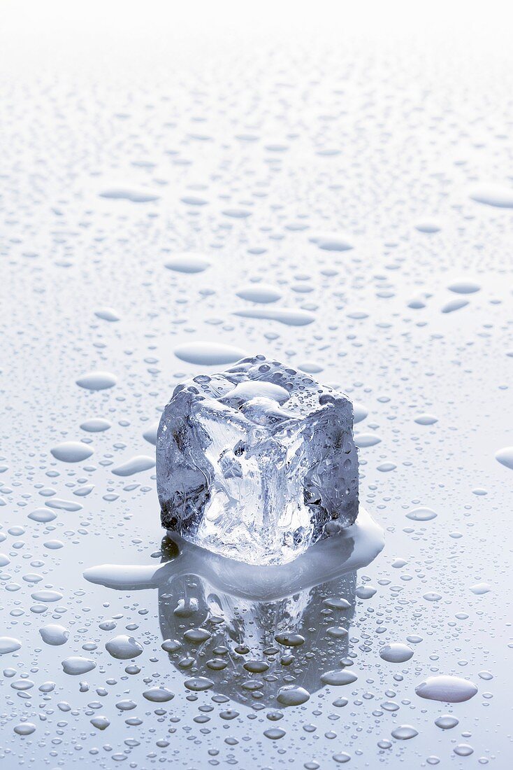 An ice cube on a wet surface