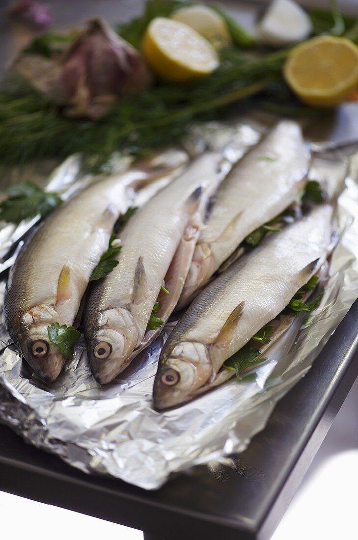 Frische Fische mit Kräuterfüllung auf Alufolie