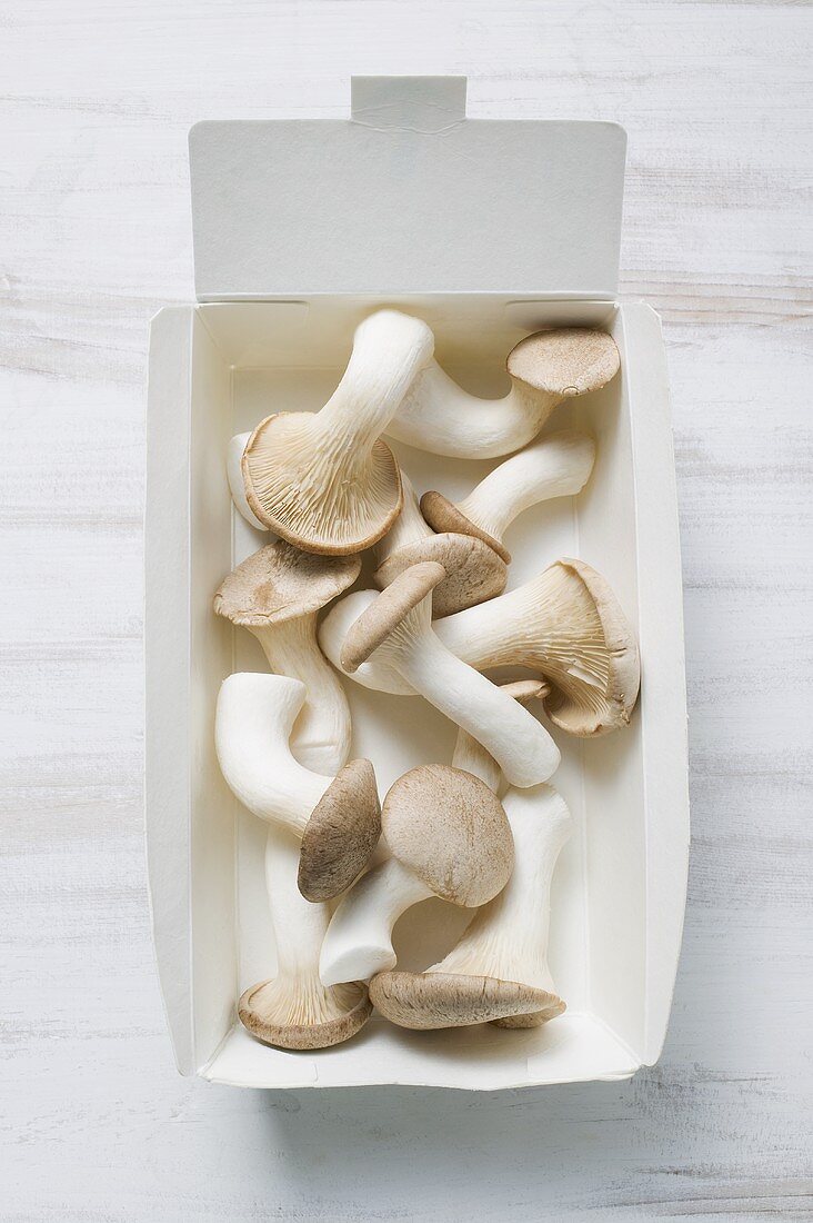 King oyster mushrooms in box (overhead view)
