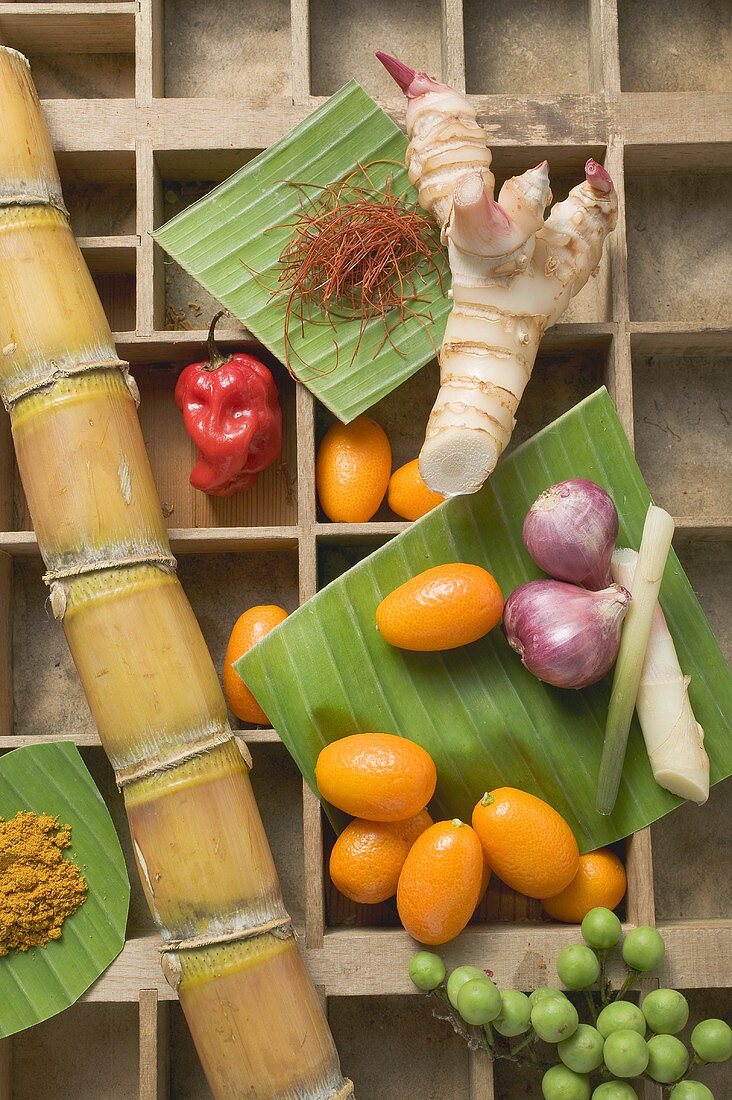 Kumquats, vegetables, spices and sugar cane in type case